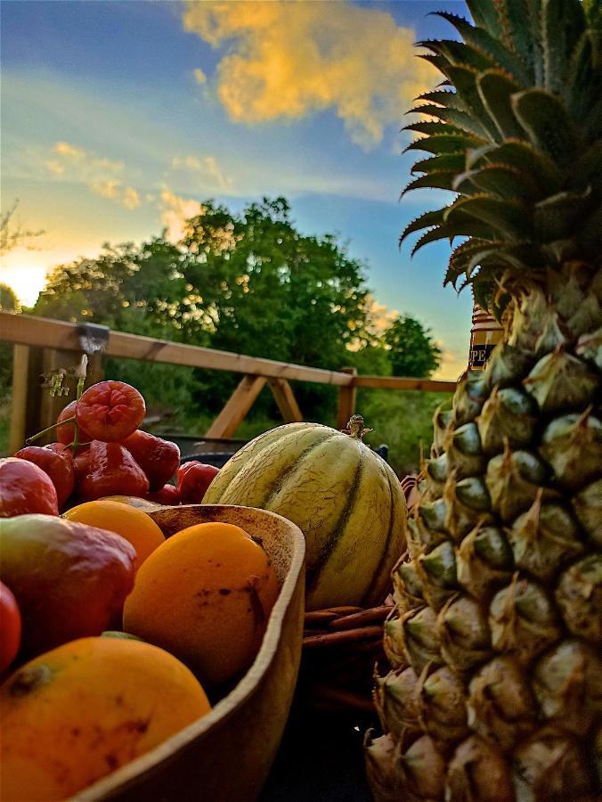 Hotel evasion guadeloupe Saint-Francois  Exterior foto